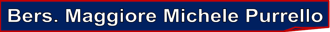 b1